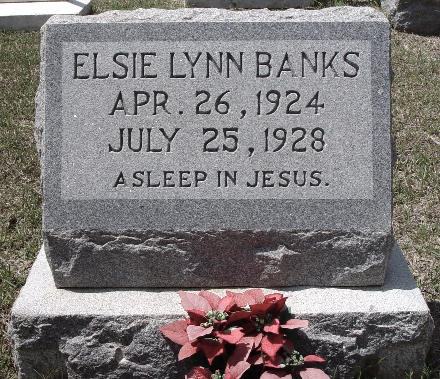 FCGS Banks-Marjoribanks Cemeteries