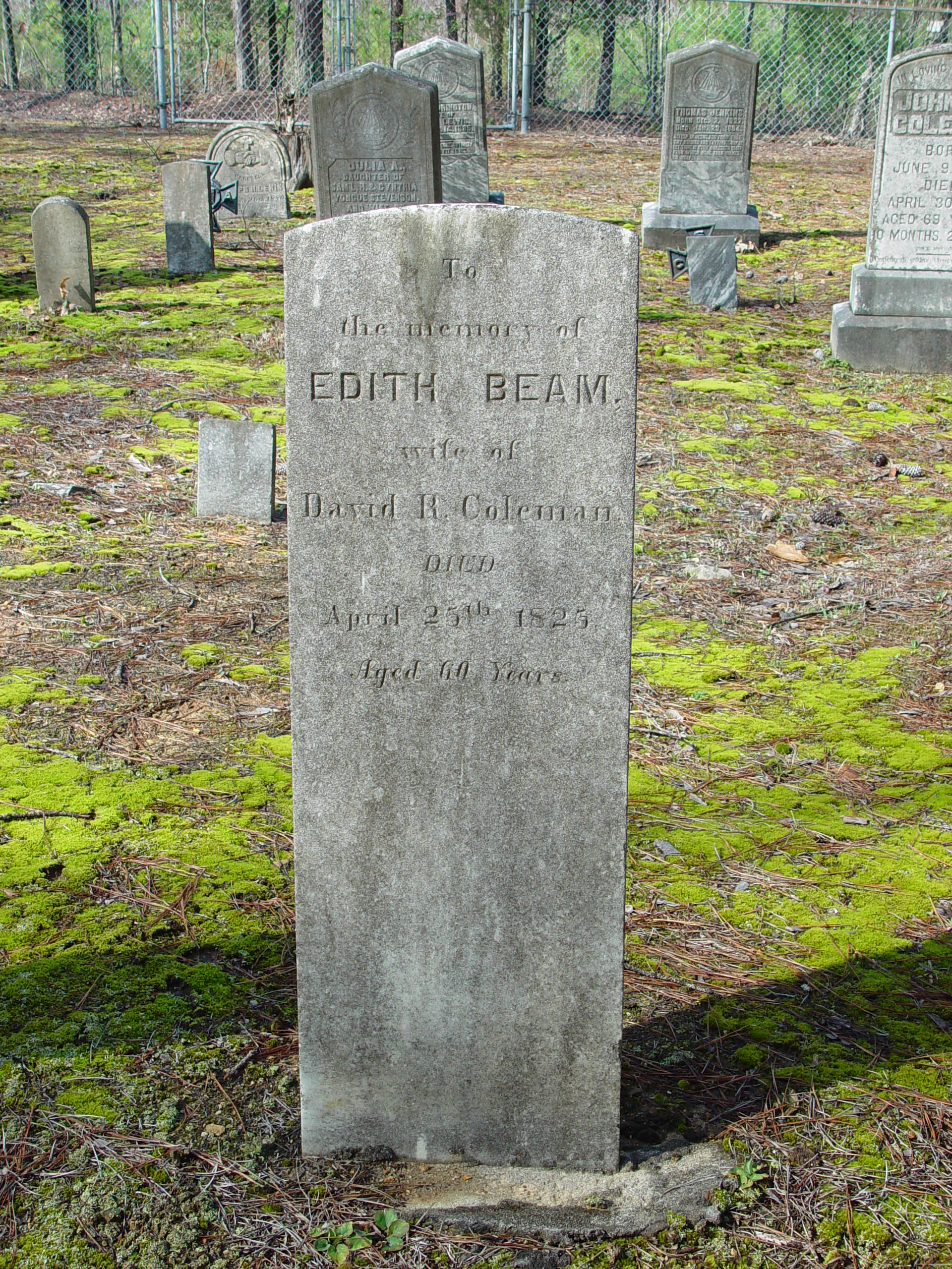 FCGS Coleman Tombstones