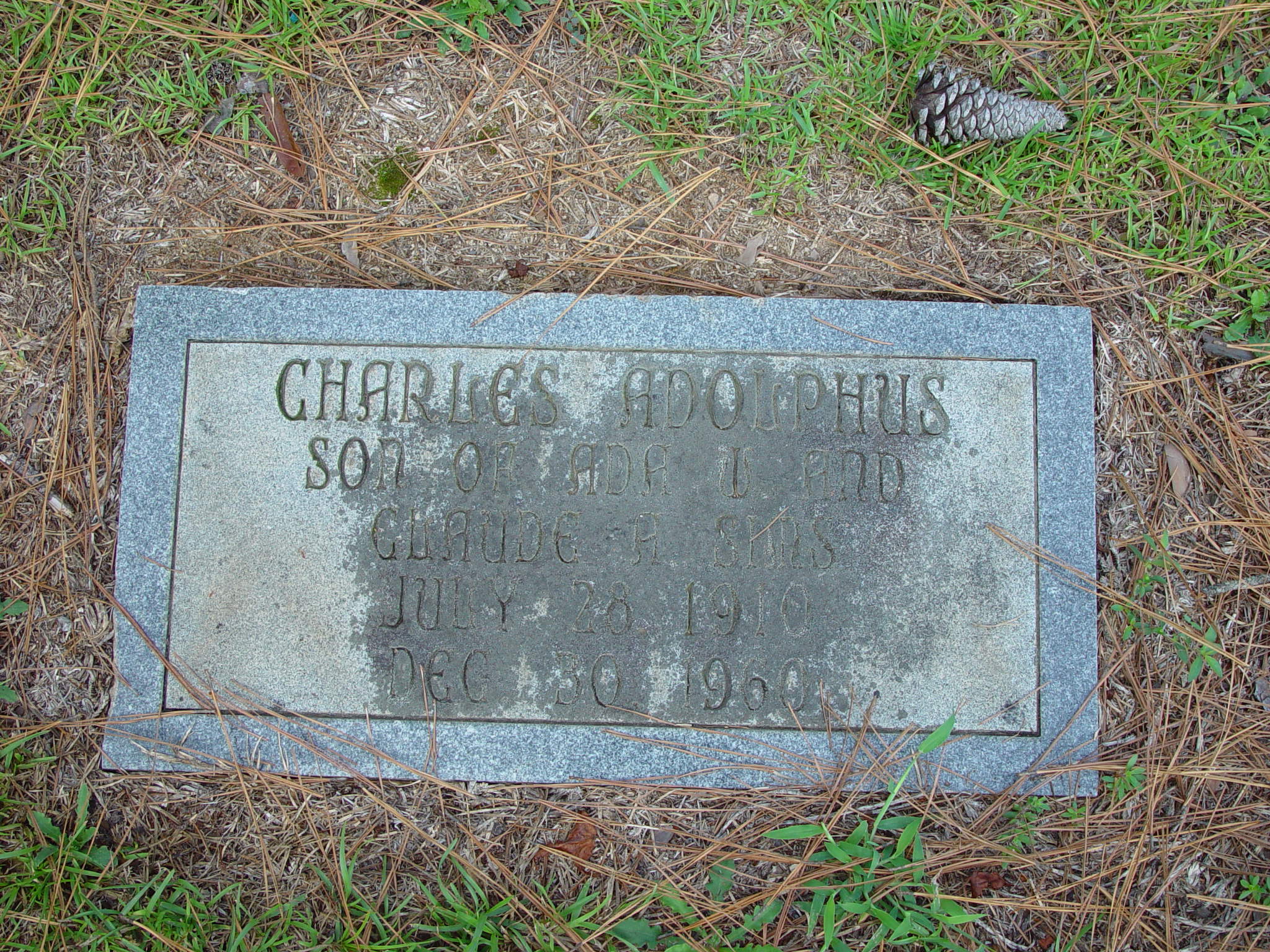 FCGS Simms-Sims Cemeteries