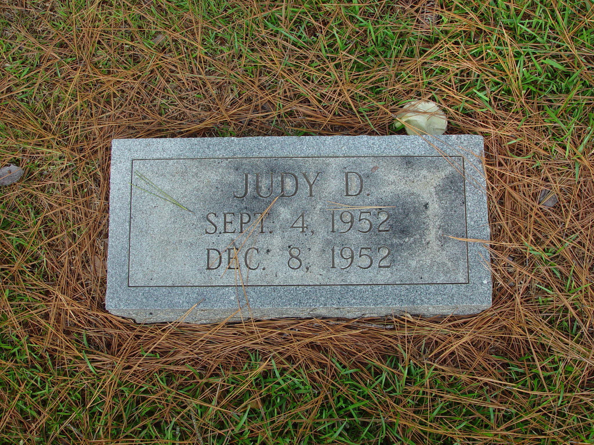 FCGS Simms-Sims Cemeteries