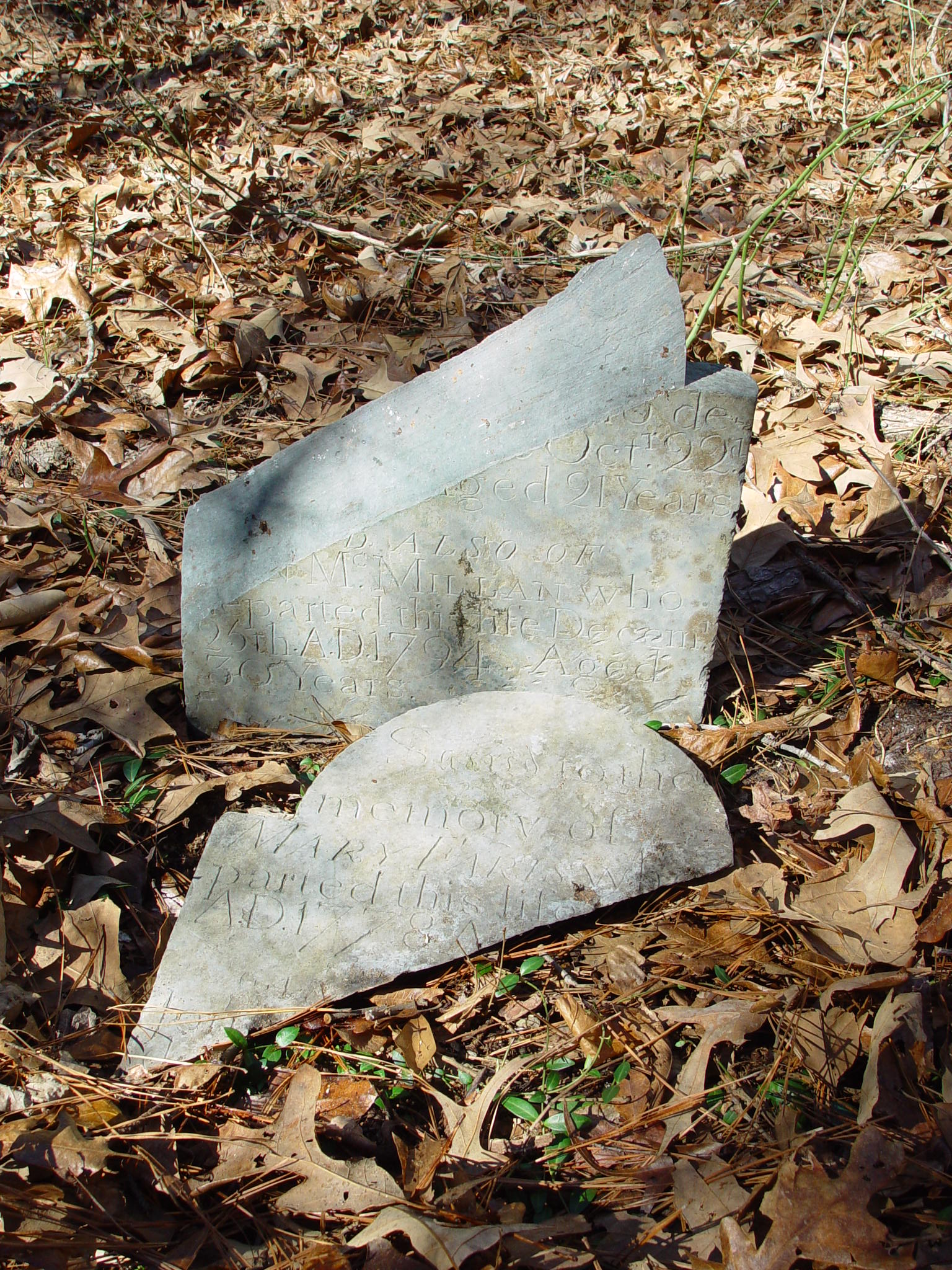 FCGS Martin-McDowell Cemeteries